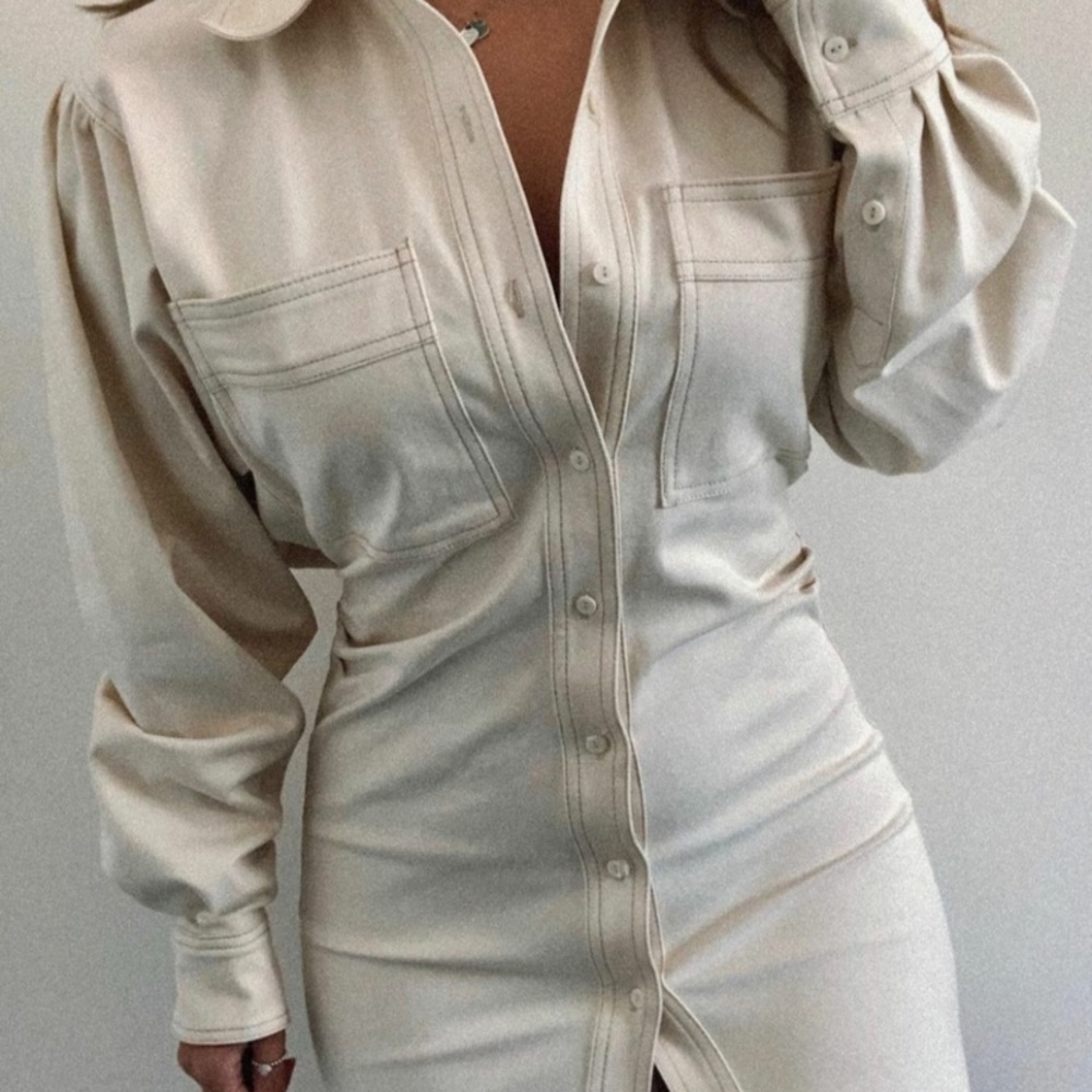 Zara Dress - Picture 6 of 12